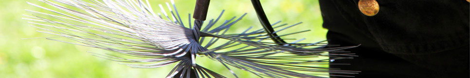 Banner - Carsten Oltmanns